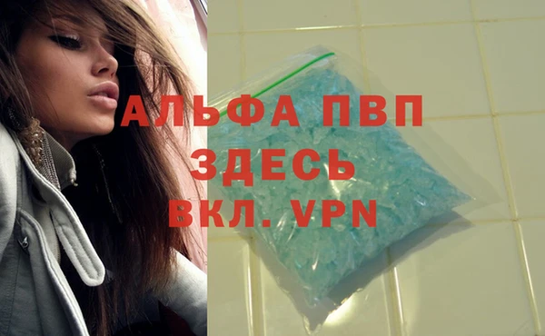 хмурый Богородицк