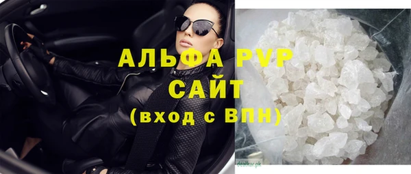 ПСИЛОЦИБИНОВЫЕ ГРИБЫ Богданович