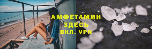 ПСИЛОЦИБИНОВЫЕ ГРИБЫ Богданович