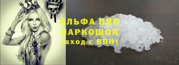 ПСИЛОЦИБИНОВЫЕ ГРИБЫ Богданович