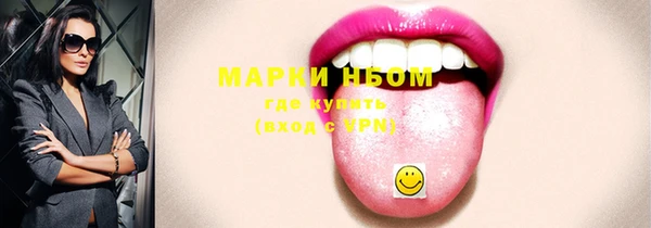ПСИЛОЦИБИНОВЫЕ ГРИБЫ Богданович
