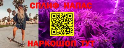 ПСИЛОЦИБИНОВЫЕ ГРИБЫ Апрелевка