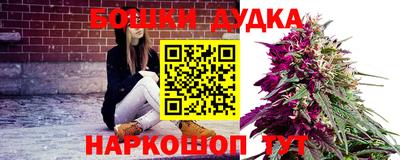 дмт Владимир
