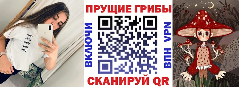 Купить  Верхняя Пышма  Псилоцибиновые грибы прущие грибы 
