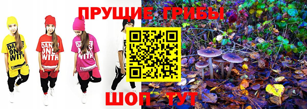 Псилоцибиновые грибы Cubensis Верхняя Пышма