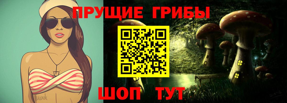 где купить   Верхняя Пышма  Псилоцибиновые грибы Psilocybe 