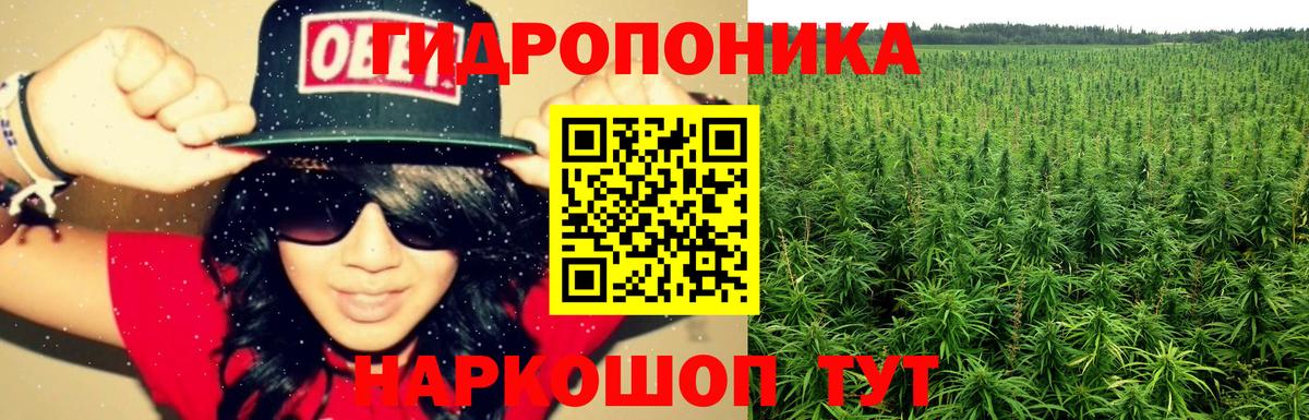 Шишки марихуана гибрид Верхняя Пышма